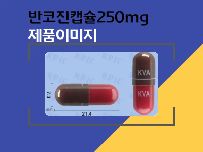반코진캡슐250mg 성상 이미지