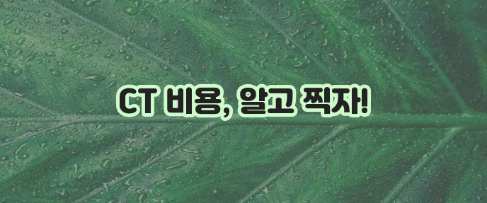 머리 복부 폐 CT 촬영 비용이 궁금하시죠!