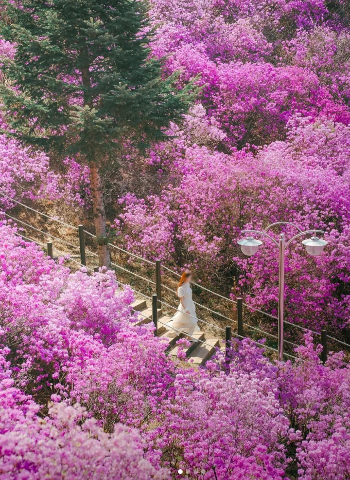 SNS화제의영상-생생정보