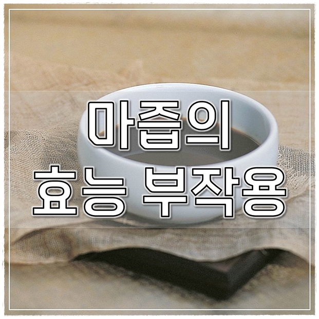  마즙 효능 부작용 총정리