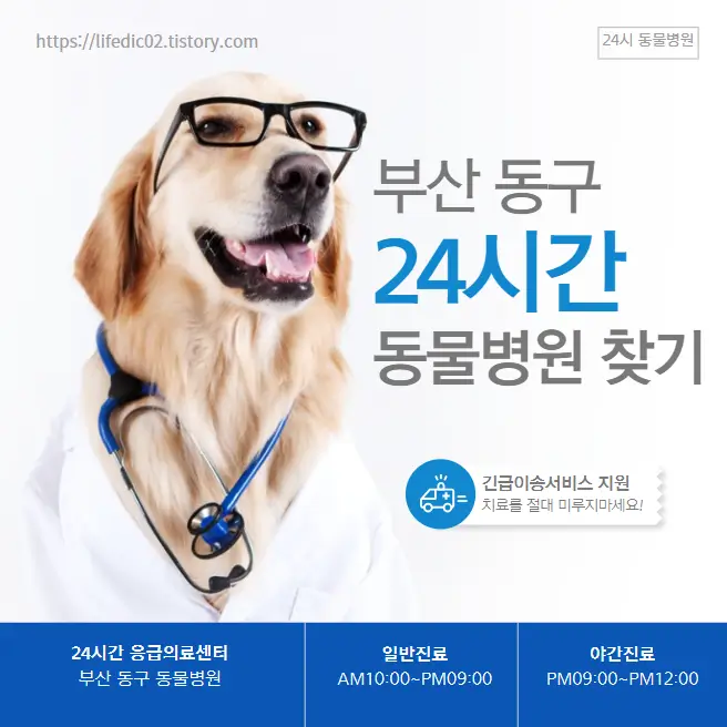  부산 동구 근처 동물병원 찾기 24시간 일요일 반려동물 병원