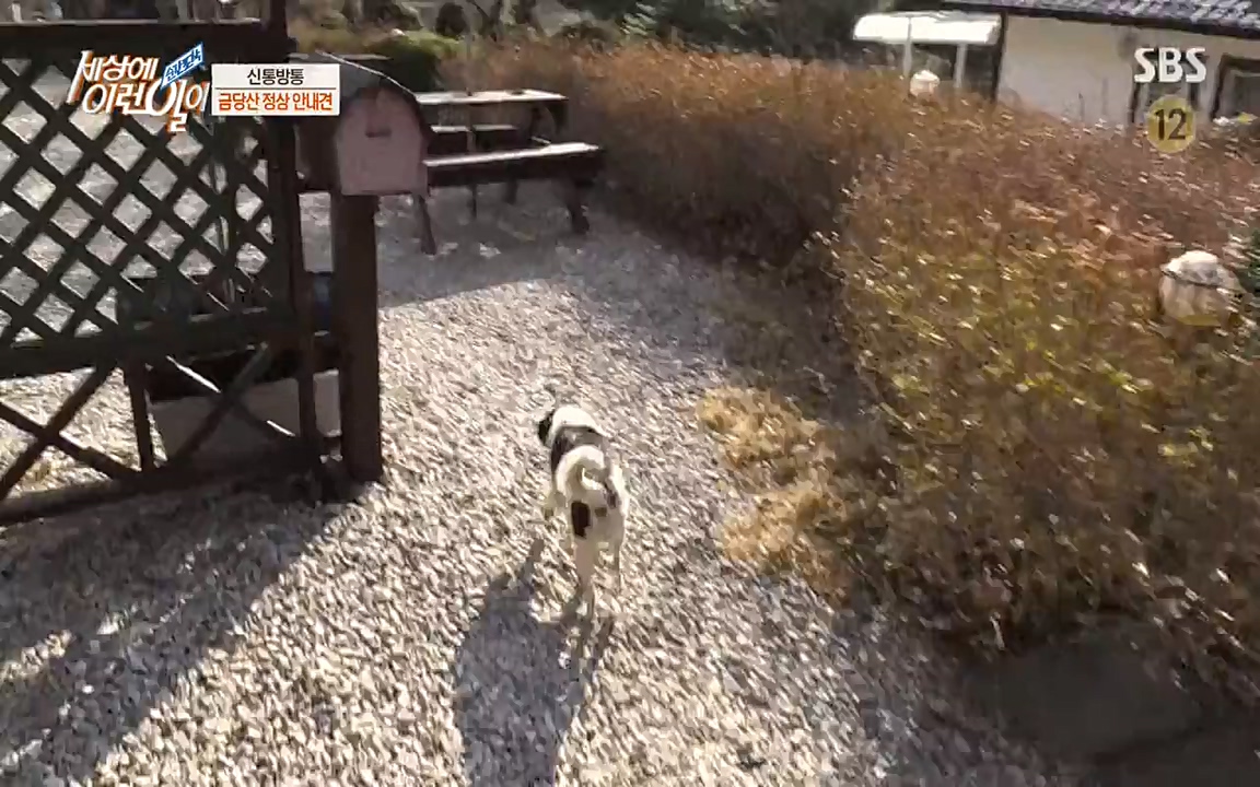 순간포착 세상에 이런일이.E1176.220420p-NEXT.mp4_20220420_175852.636.jpg