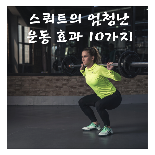  스쿼트 효과 10가지