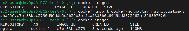docker import docker/nginx.tar ubuntu:custom-1