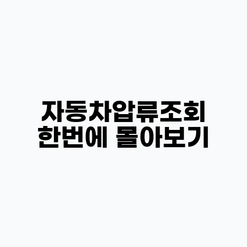 자동차압류조회 한번에 몰아보기