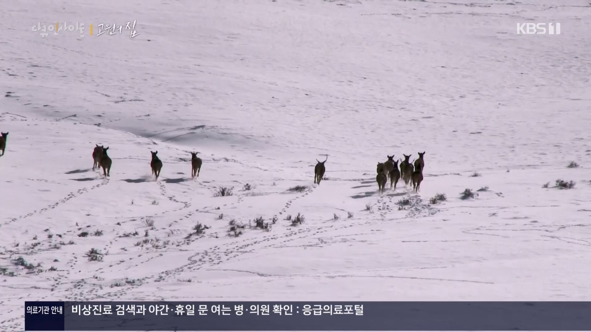 다큐 인사이트.E176.240328p.H264-F1RST.mp4_20240330_162902.634.jpg