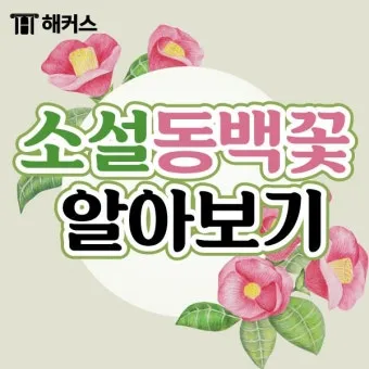 동백꽃 줄거리 김유정 단편소설 춘천_9