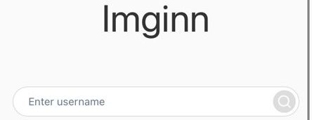 Imginn 인스타그램 몰래보기 사이트