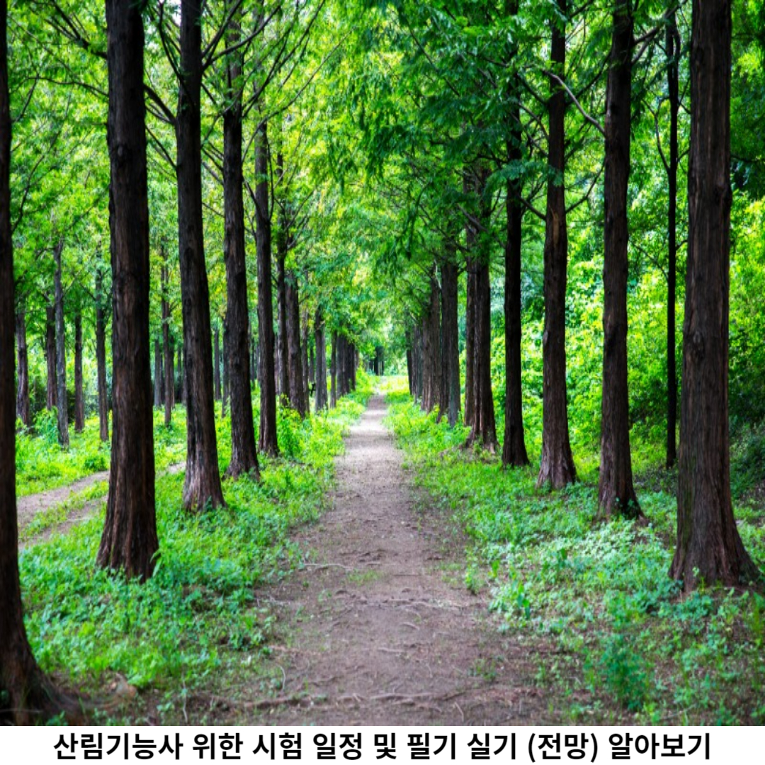 산림기능사 전망