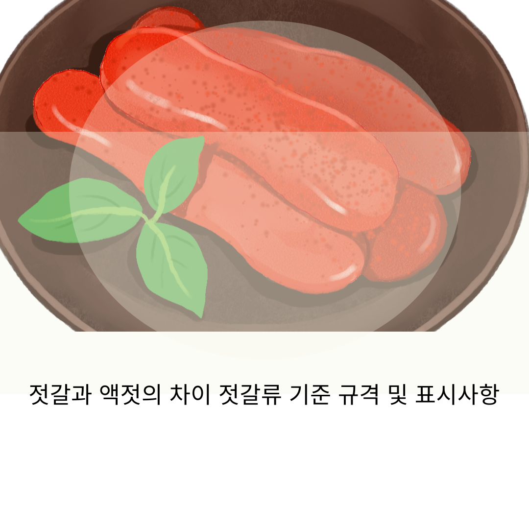  젓갈과 액젓의 차이 젓갈류 기준 규격 및 표시사항 가이드