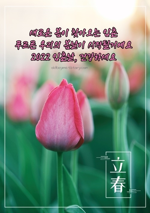 입춘 인사말 이미지