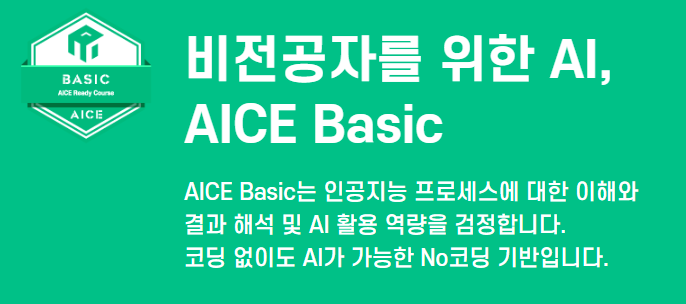 Basic 과정