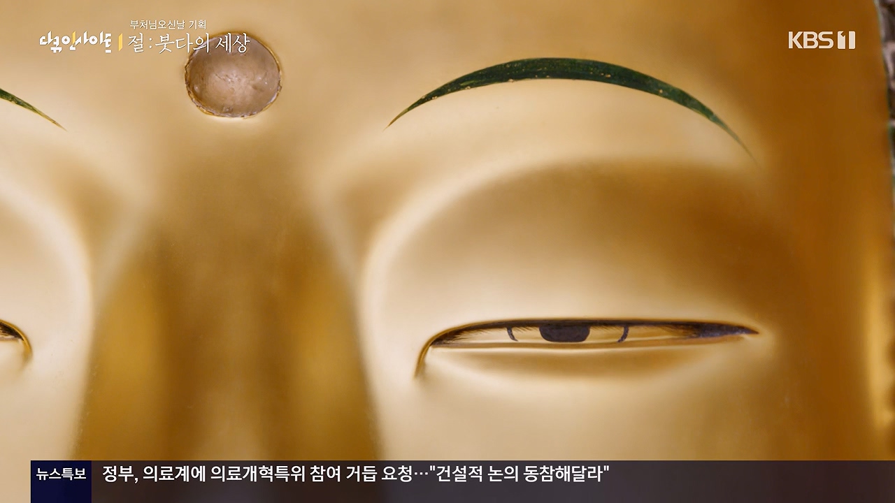 다큐 인사이트.E185.240517p-NEXT.mp4_20240517_202638.933.jpg