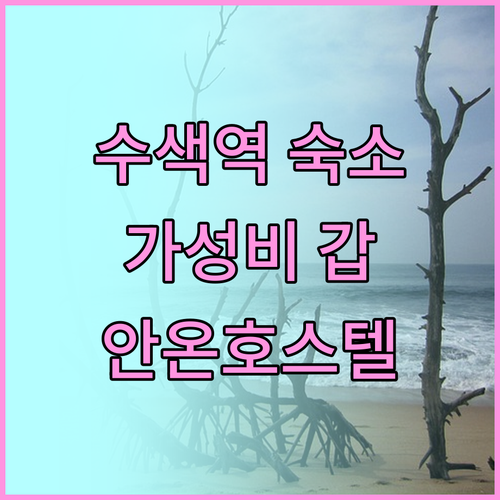안온호스텔, 깔끔함에 반하다! 수색역