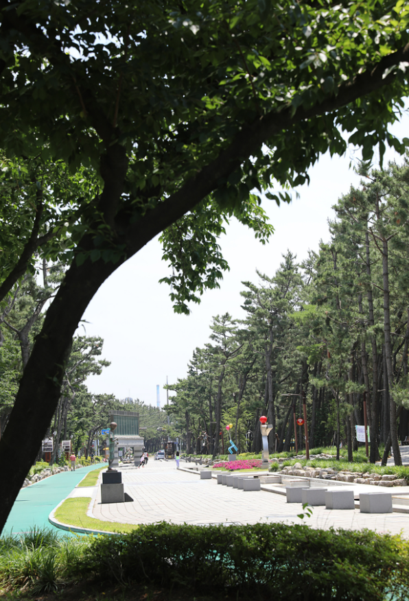 포항 송도 솔밭도시숲 여행소개 가는방법 볼거리-9