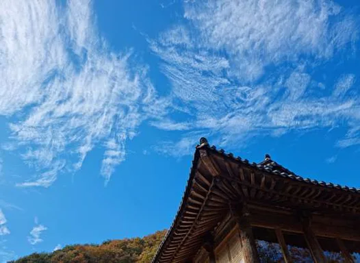 카페자연으로