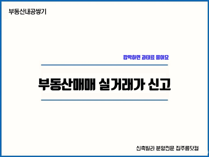 부동산 실거래가 신고 과태료