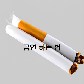 금연-하는-법