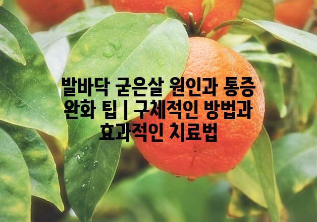 랜덤171