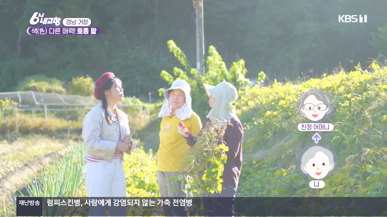 6시 내고향.E7897.231025p.H264-F1RST.mp4_20231025_202858.702.jpg