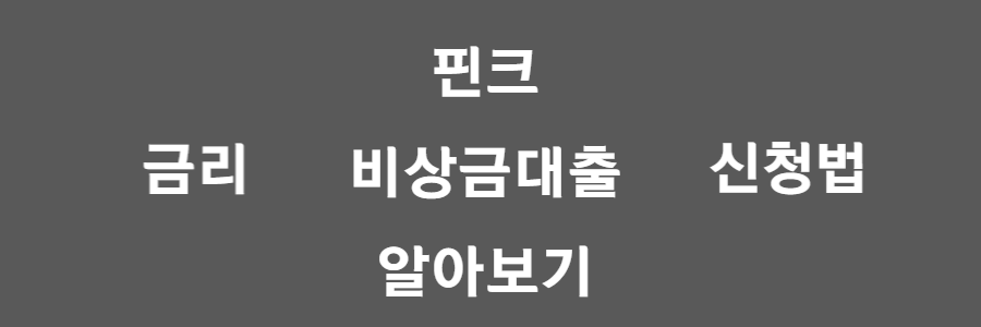  핀크 비상금대출, 제대로 알아보자!(장단점/조건/사례 포함)