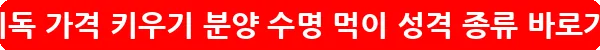 프레디독 가격 키우기 분양 수명 먹이 성격 종류_33