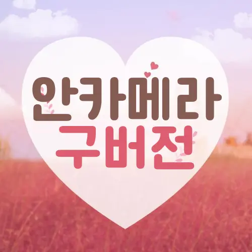 안카메라 구버전