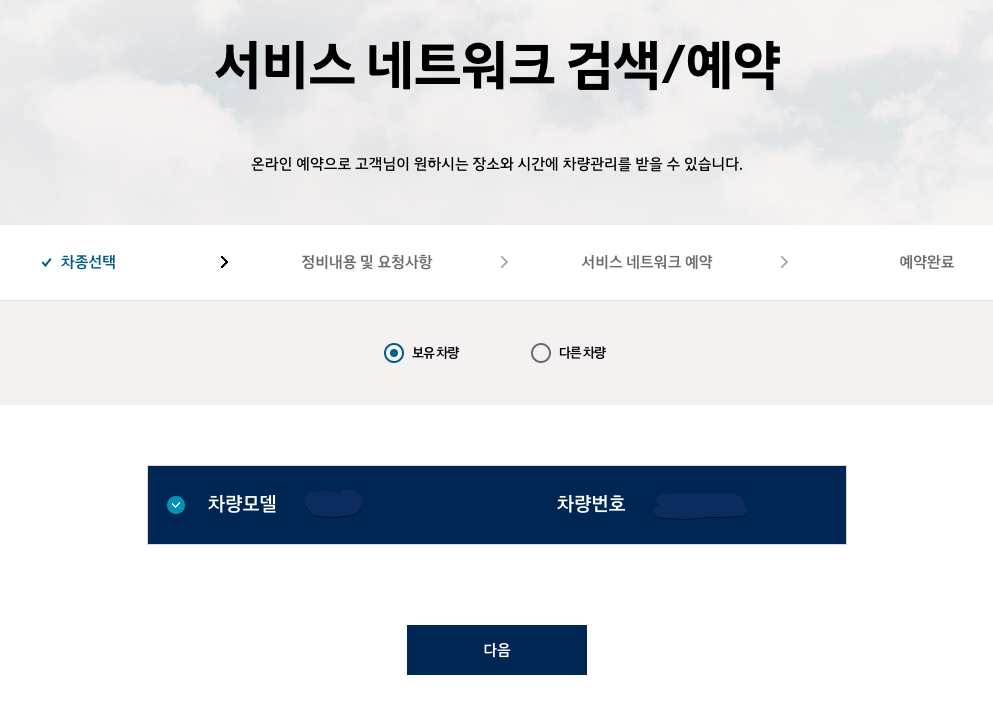 현대 블루핸즈 예약