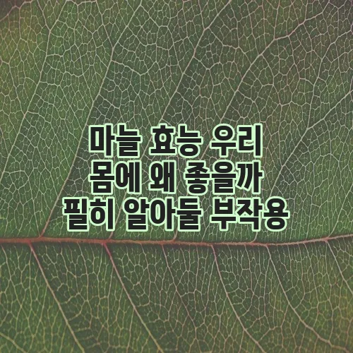 마늘 효능 우리 몸에 왜 좋을까 필히 알아둘 부작용