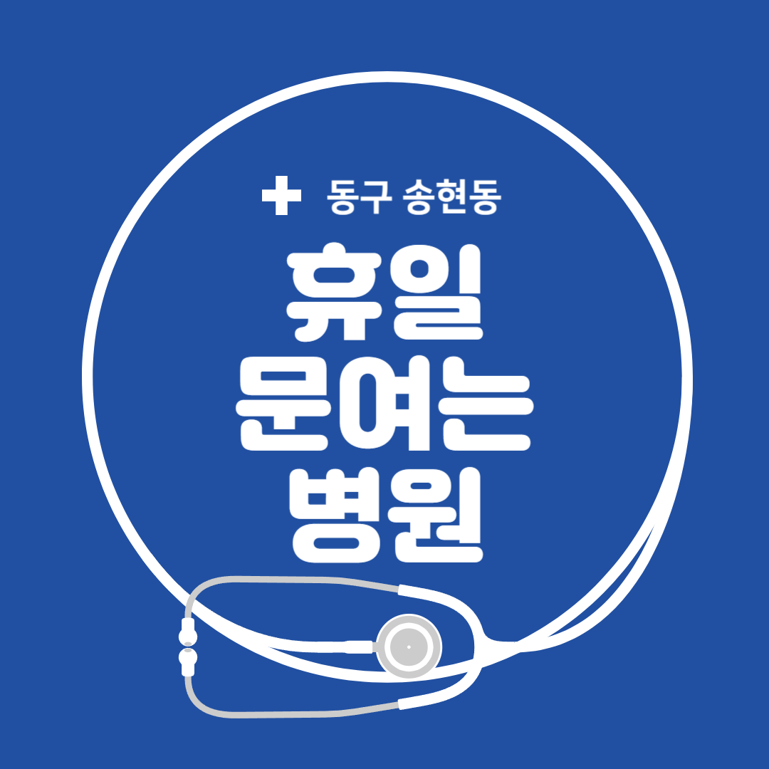 인천 동구 송현동 일요일 진료 휴일 문 여는 병원