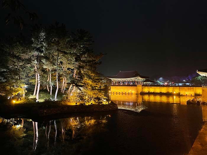 동궁과 월지의 조명에 의해 비쳐지고 있는 건축물과 나무가 비쳐지고 그 불빛을 받아 연못의 나타나고 있는 야경의 사진