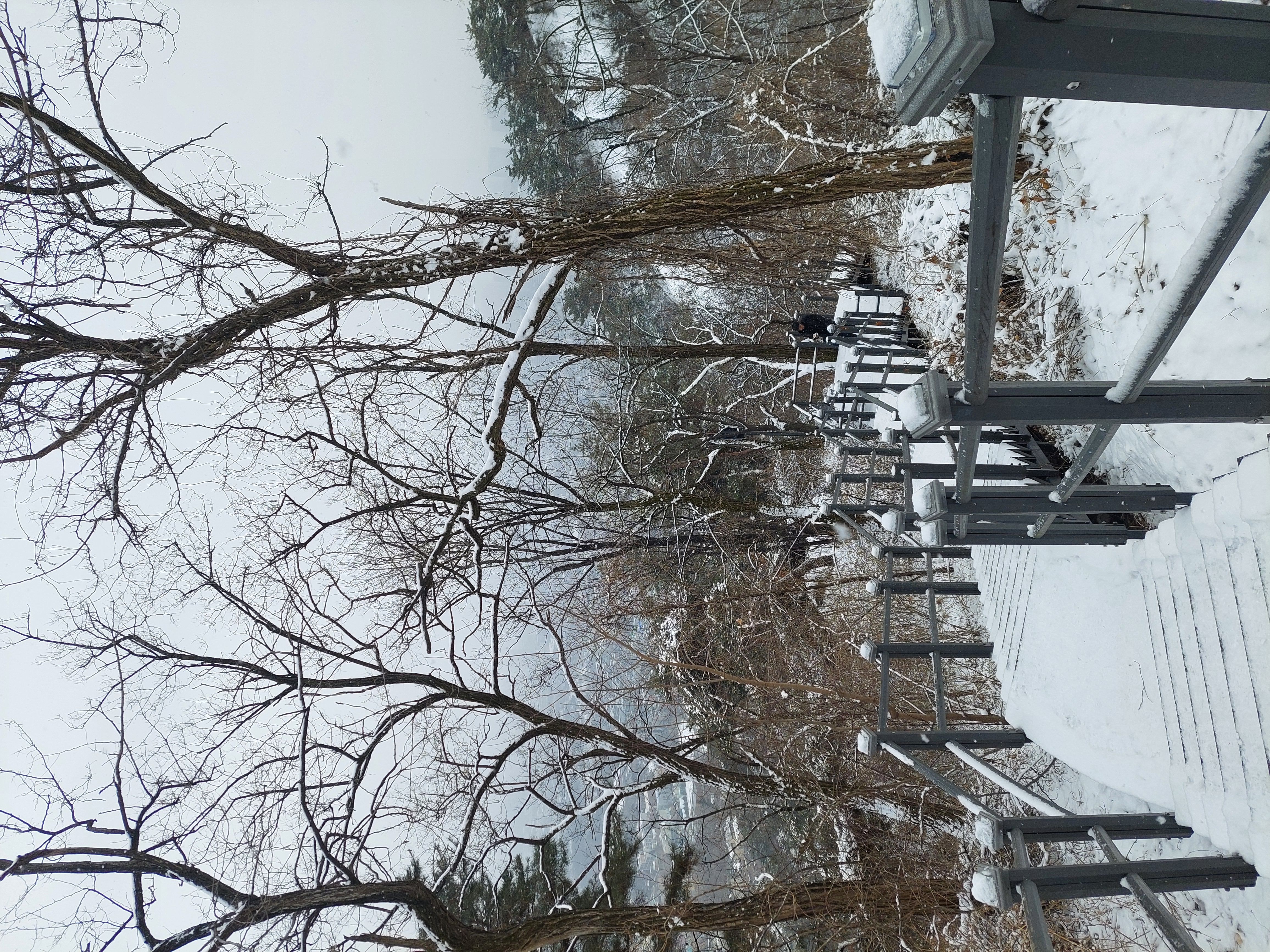 인왕산