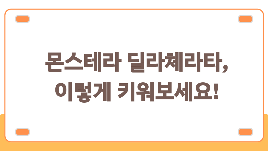 몬스테라 딜라체라타 키우기, 6개월 만에 새 잎이? 🌱 눈물 없인 볼 수 없는 성장기 - 몬스테라 딜라체라타, 이렇게 키워보세요! 몬스테라 딜라체라타 키우기, 6개월 만에 새 잎이? 🌱 눈물 없인 볼 수 없는 성장기 - 몬스테라 딜라체라타, 이렇게 키워보세요!