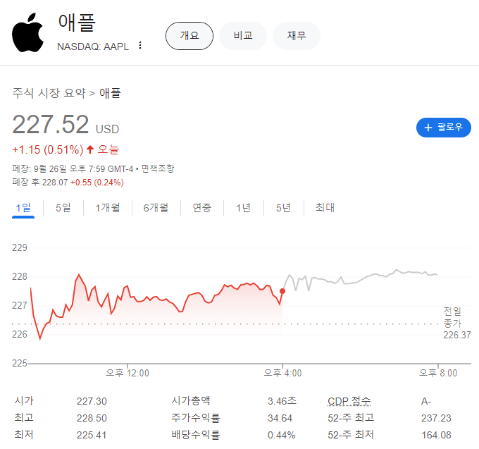 애플 주가(출처 : 구글)