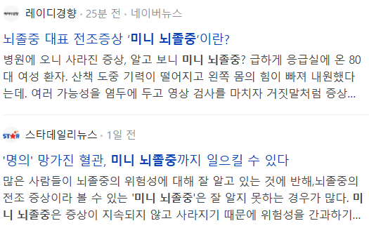 미니 뇌졸중 관련 뉴스 기사들