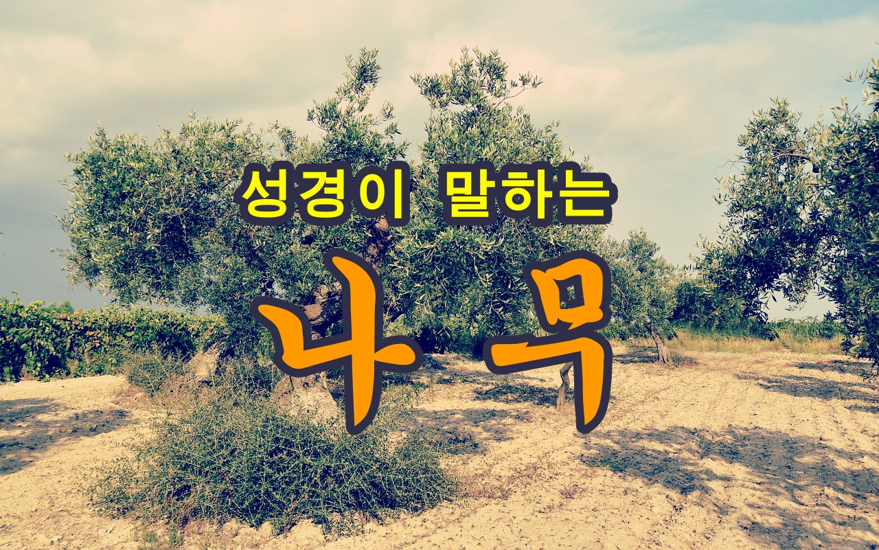  성경의 나무들