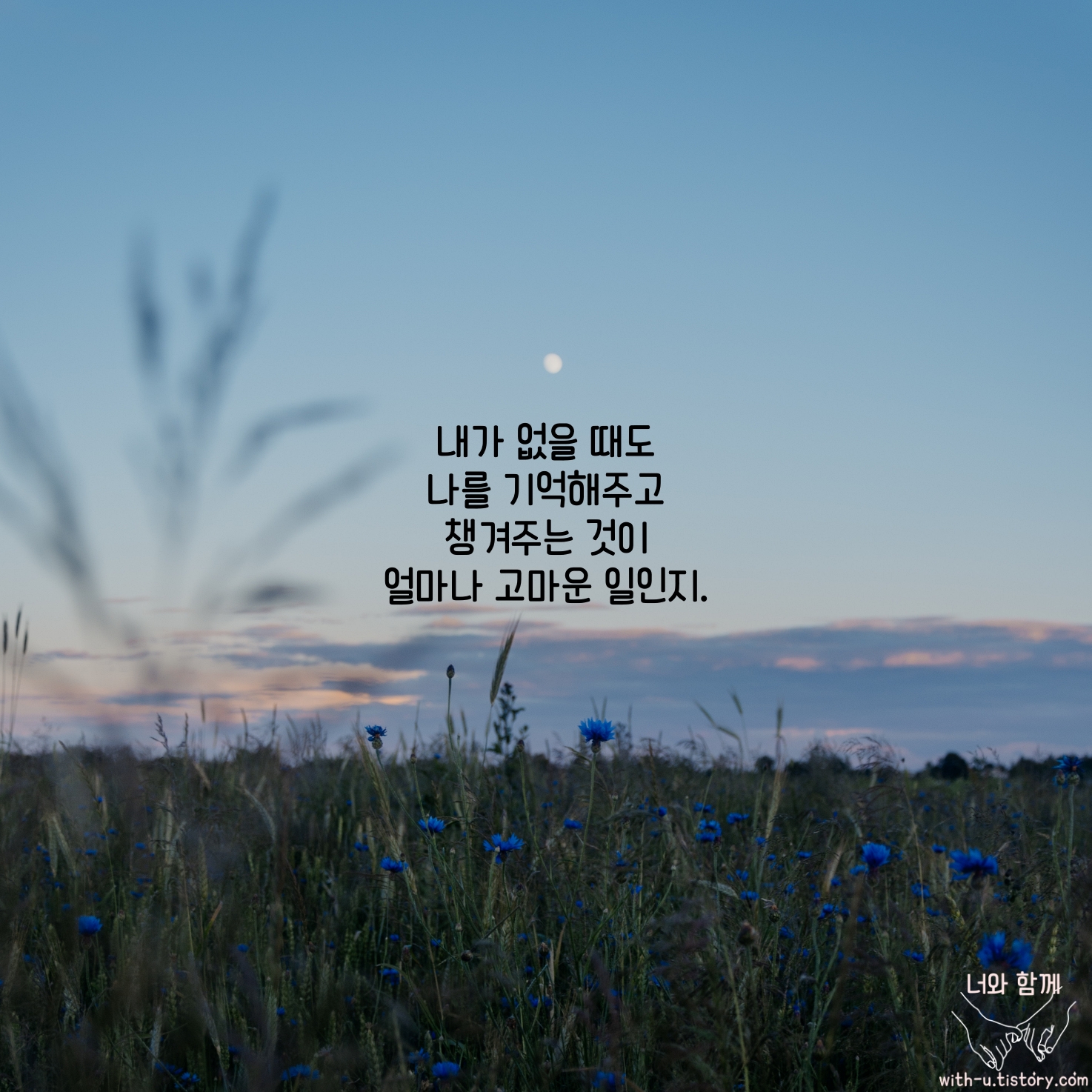 고마움 : 짧고 좋은 글귀