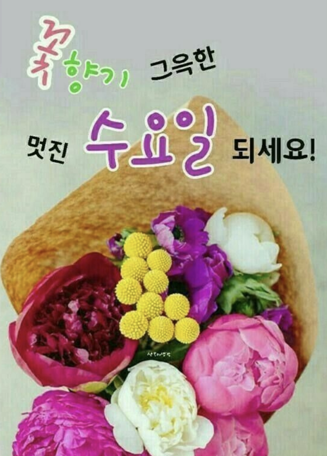 수요일 아침인사말