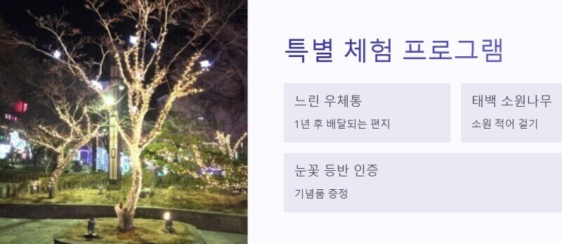 특별 체험 프로그램 안내 이미지
