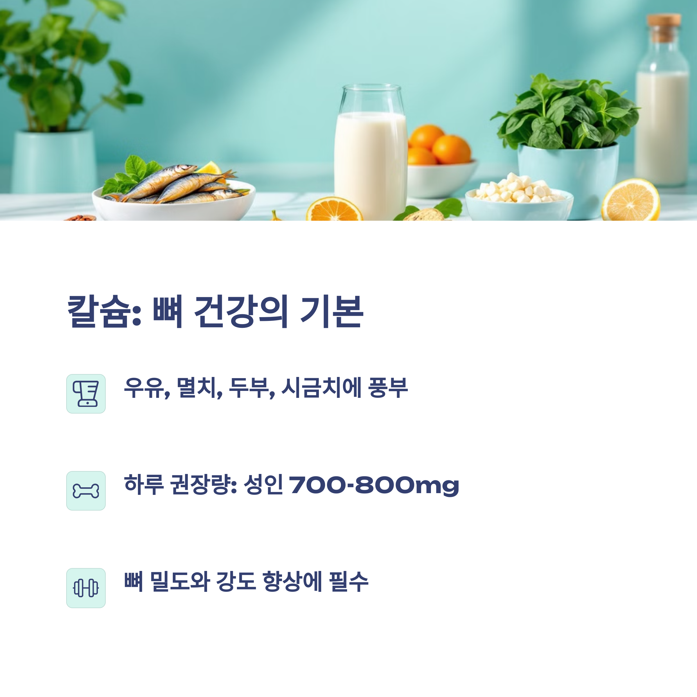 칼슘 : 뼈 건강의 기본