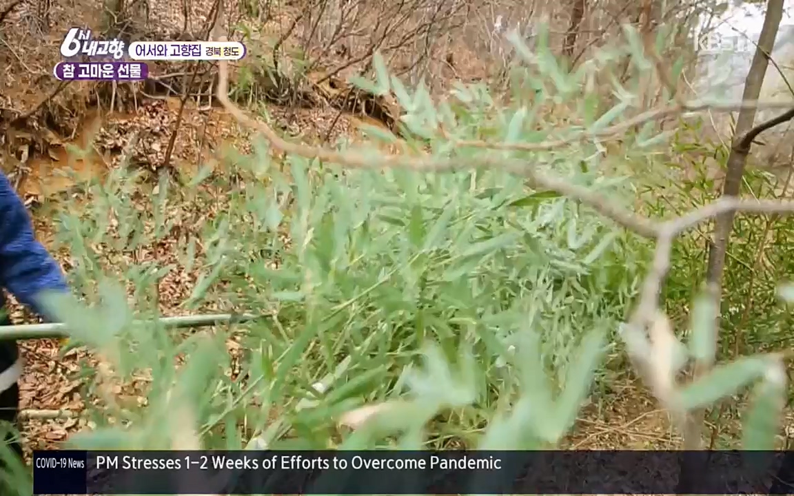 6시 내고향.E7498.220329p.H264-F1RST.mp4_20220329_184037.072.jpg