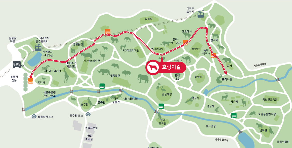 서울대공원-동물원-인기코스-호랑이길