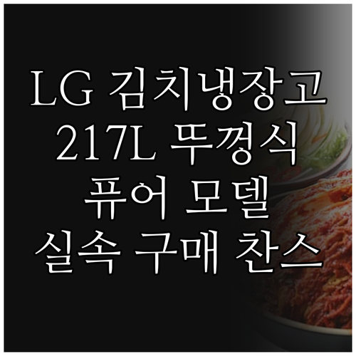 LG 김치톡톡 뚜껑식 217L 퓨어 