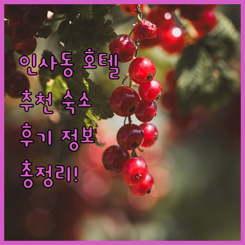 인사동 호텔 어디가 좋을까? 후기와 