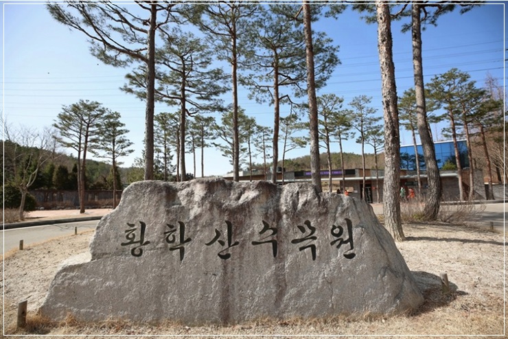  경기도 여주 황학산 비대면 언택트 여행가기 좋은 황학산 수목원