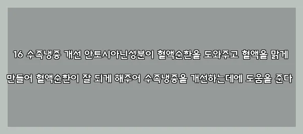  16 수족냉증 개선 안토시아닌성분이 혈액순환을 도와주고 혈액을 맑게 만들어 혈액순환이 잘 되게 해주어 수족냉증을 개선하는데에 도움을 준다