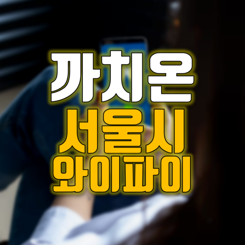  서울시 무료와이파이 까치온