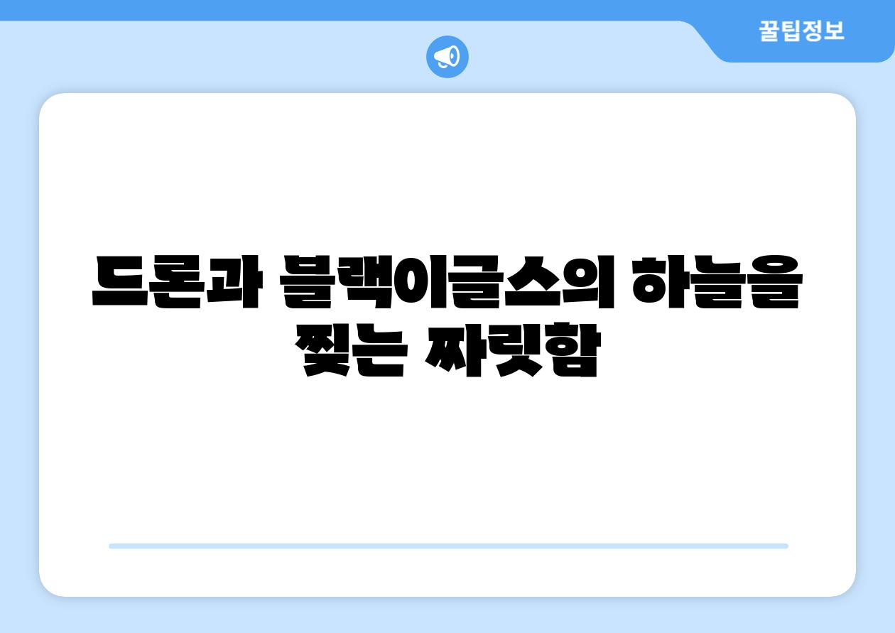 드론과 블랙이글스의 하늘을 찢는 짜릿함