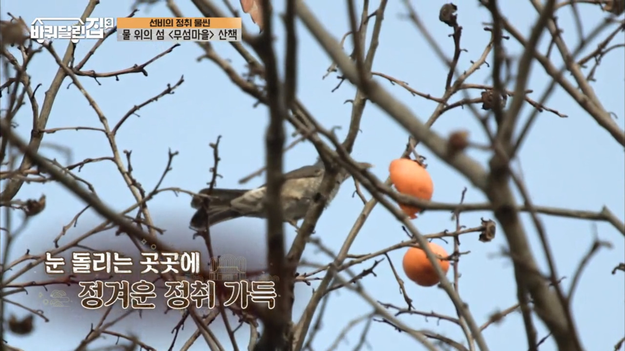 바퀴달린집 촬영지 영주 무섬마을 01