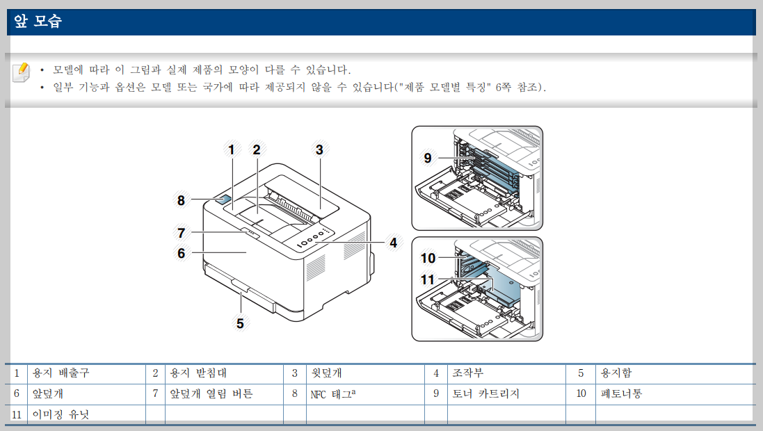 앞모습